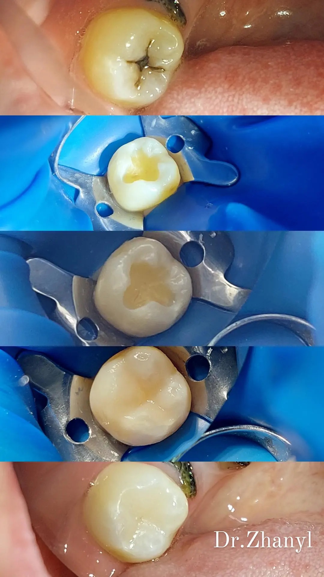 Работы Dr. Жаныл