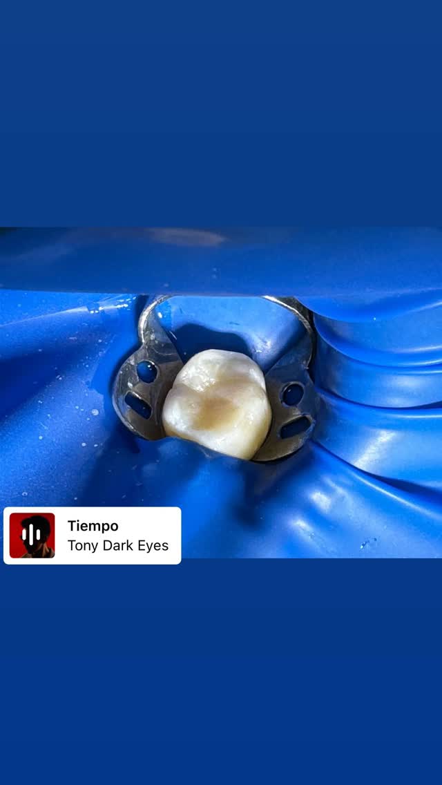 Работы Dr. Жаныл