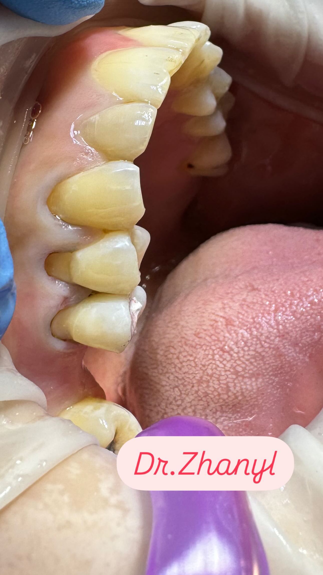 Работы Dr. Жаныл