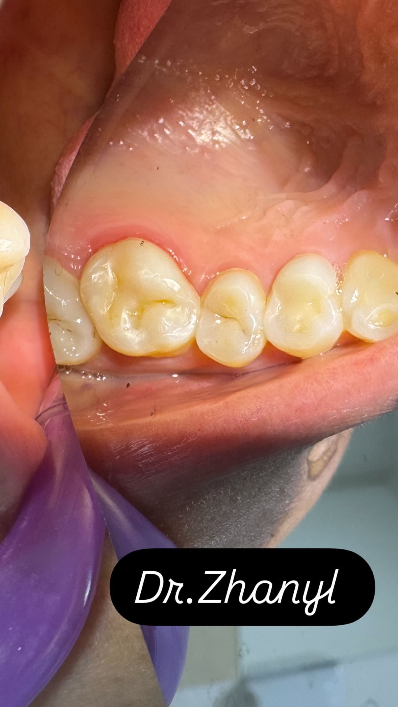 Работы Dr. Жаныл