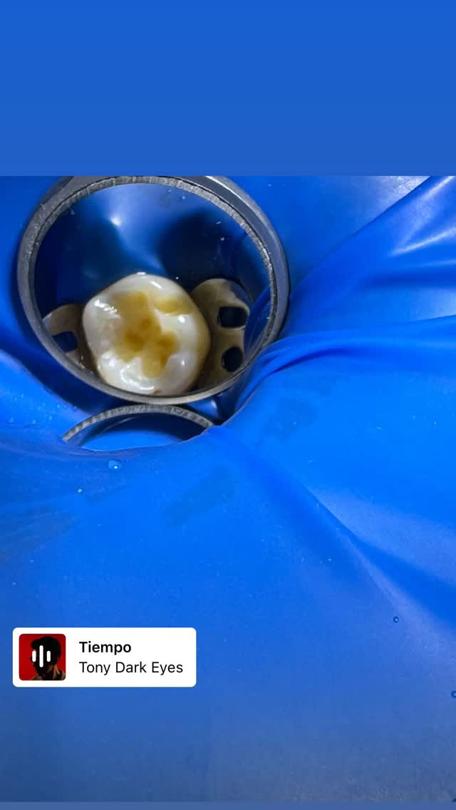 Работы Dr. Жаныл